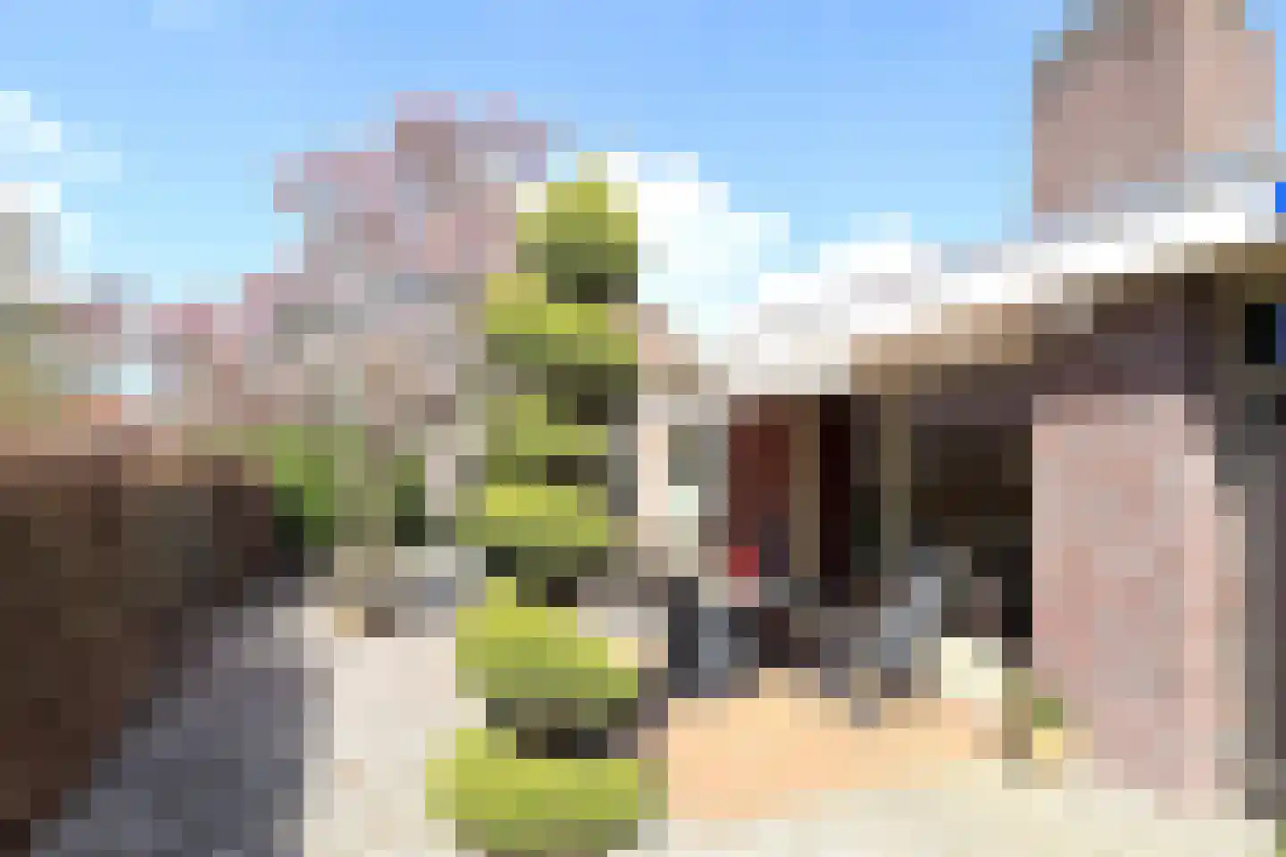 Maanhuizenlaan 7 Marknesse thumbnail 4