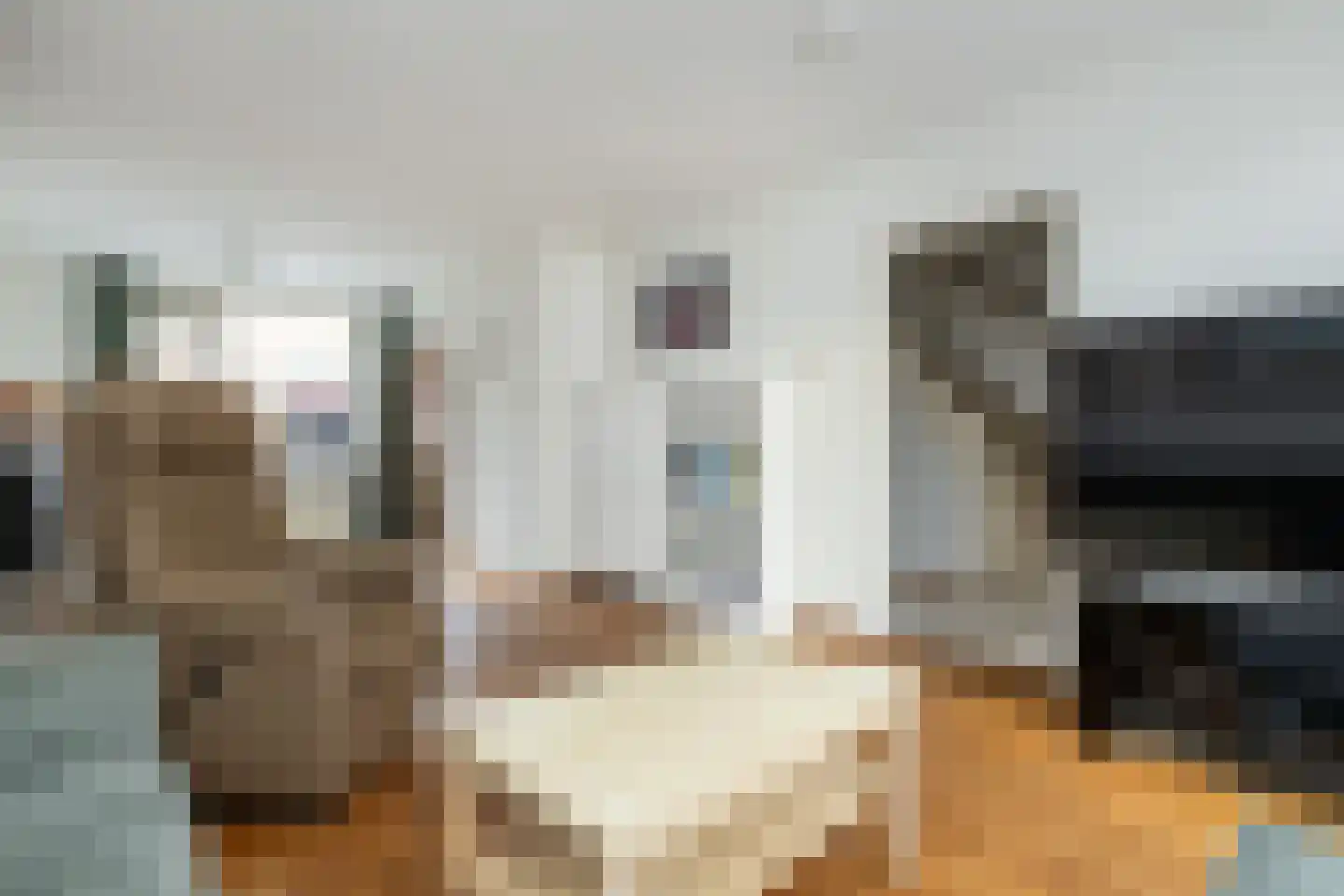 Maannezee 50 Dirksland thumbnail 11