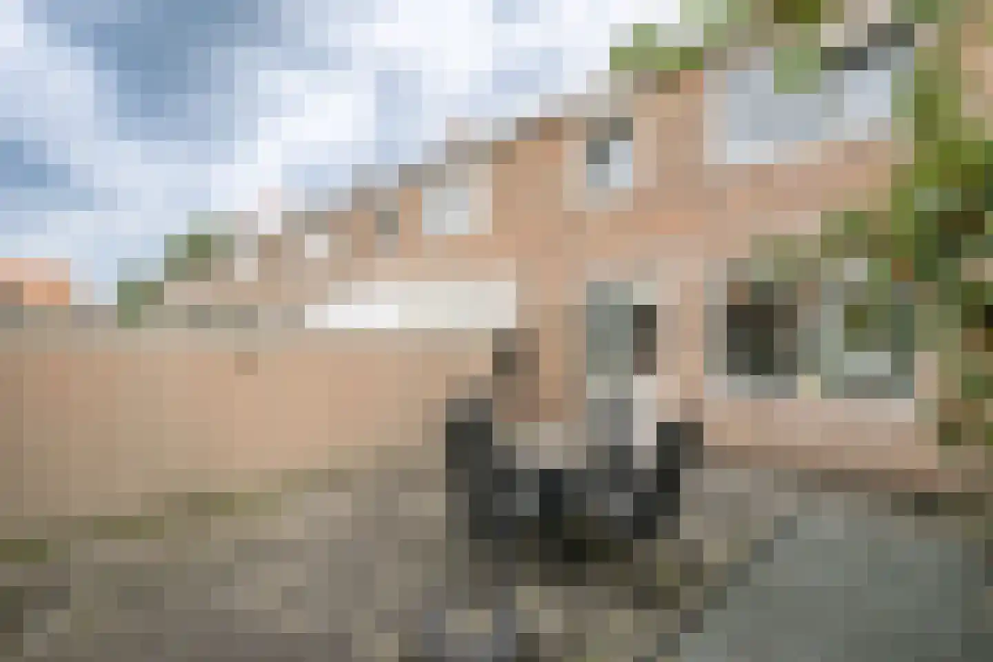 Maannezee 50 Dirksland thumbnail 19