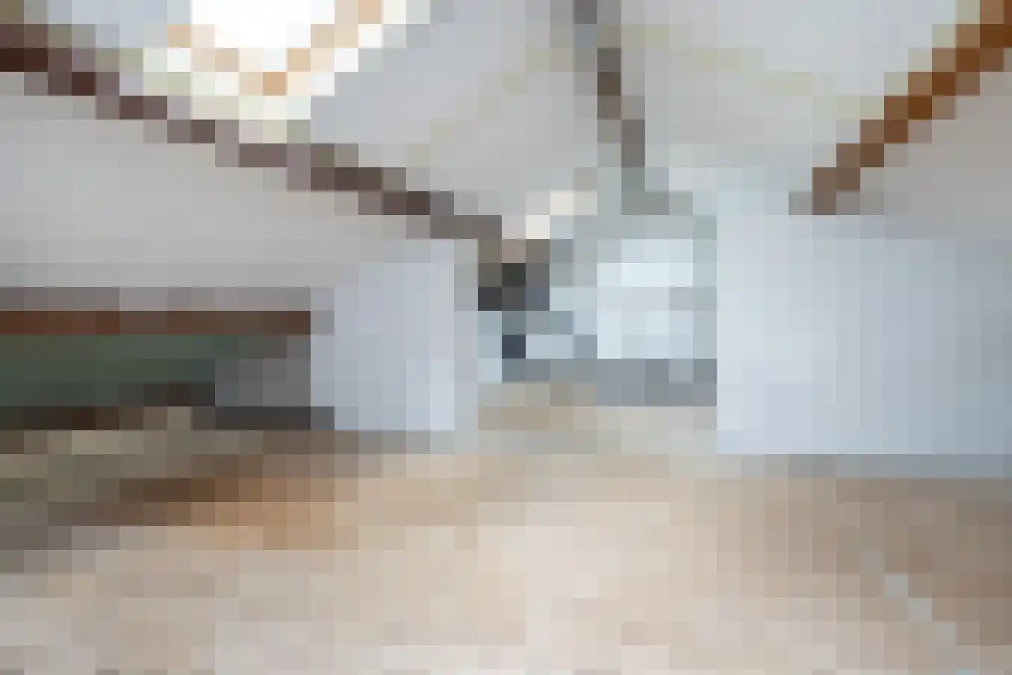 Maannezee 50 Dirksland thumbnail 27