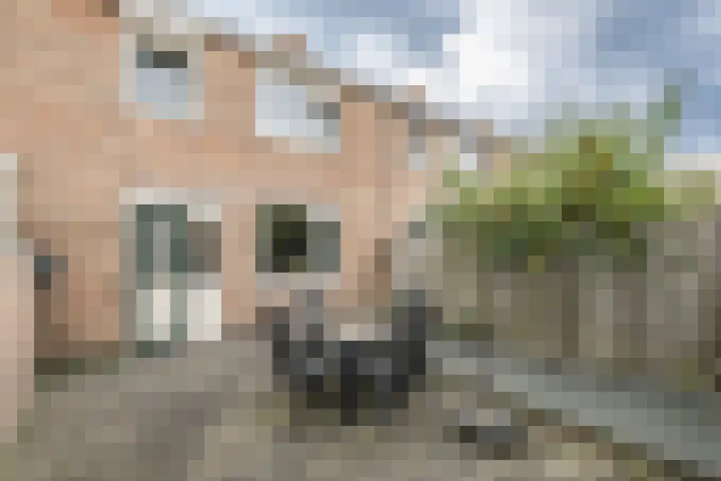 Maannezee 50 Dirksland thumbnail 30