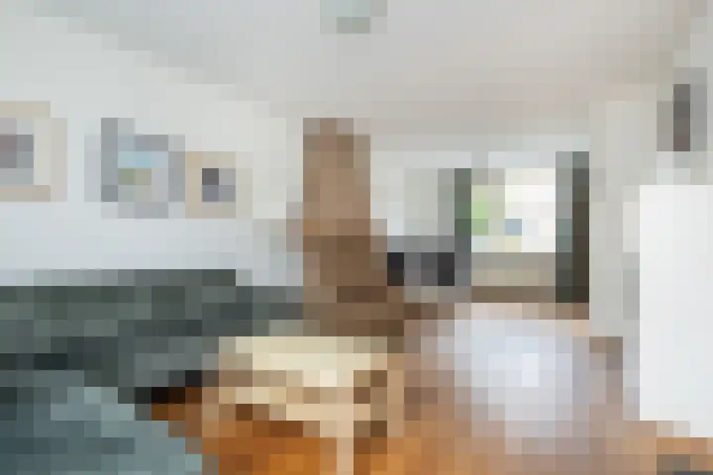 Maannezee 50 Dirksland thumbnail 4