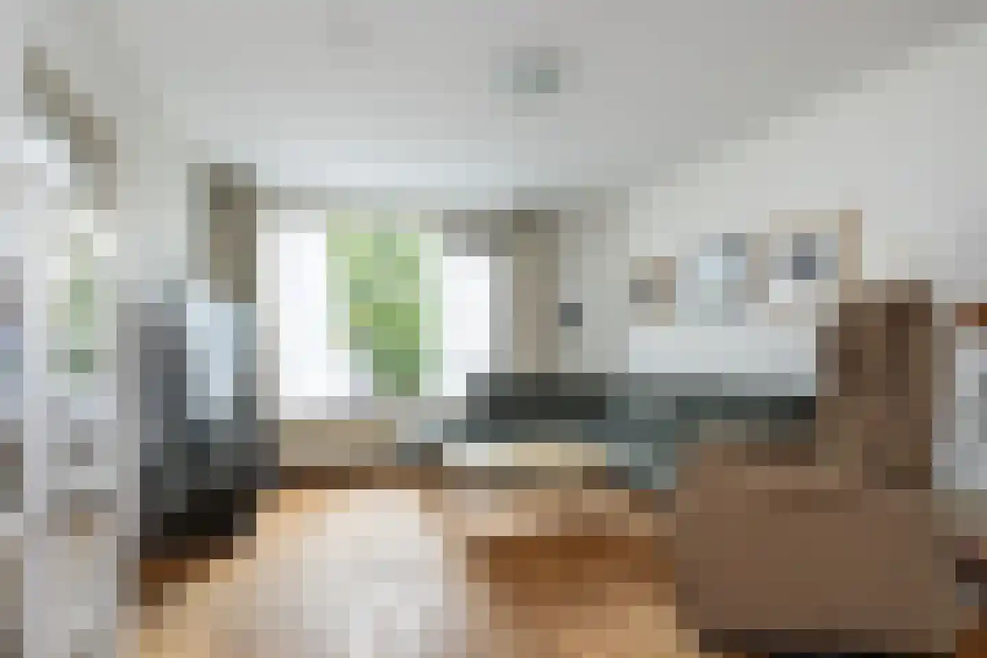 Maannezee 50 Dirksland thumbnail 7
