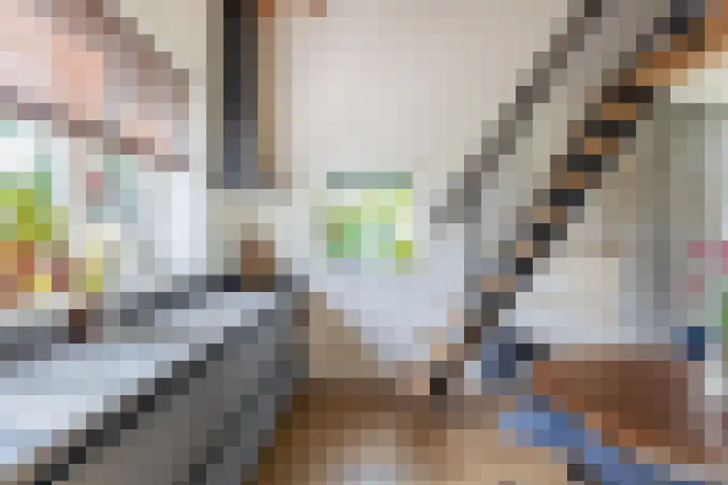 Maannezee 58 Dirksland thumbnail 12