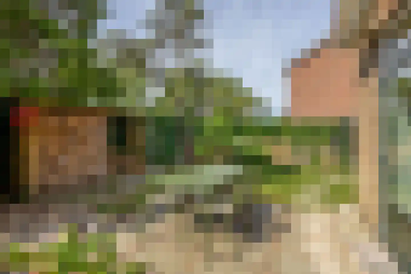 Maannezee 58 Dirksland thumbnail 24