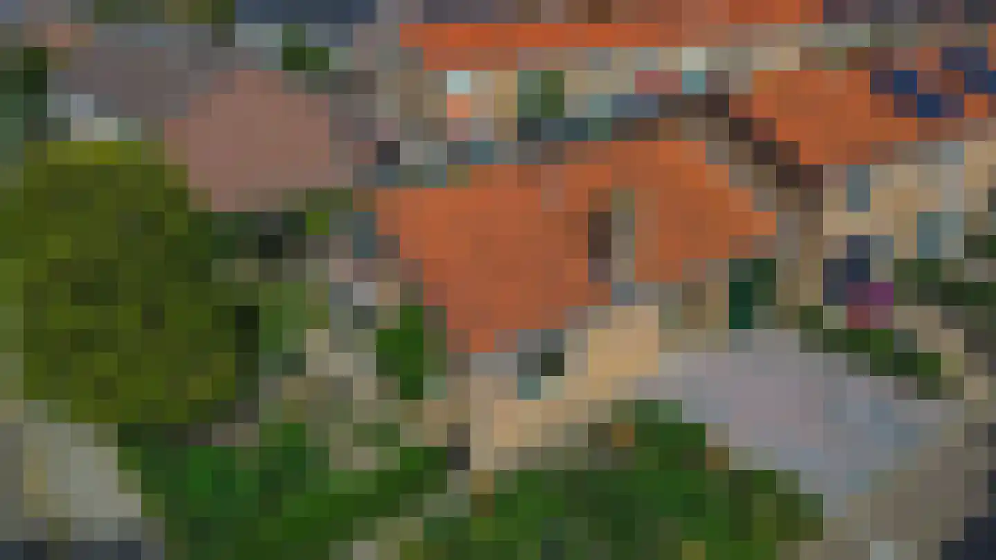 Maannezee 58 Dirksland thumbnail 28