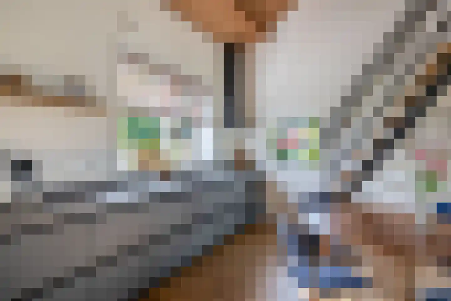 Maannezee 58 Dirksland thumbnail 4