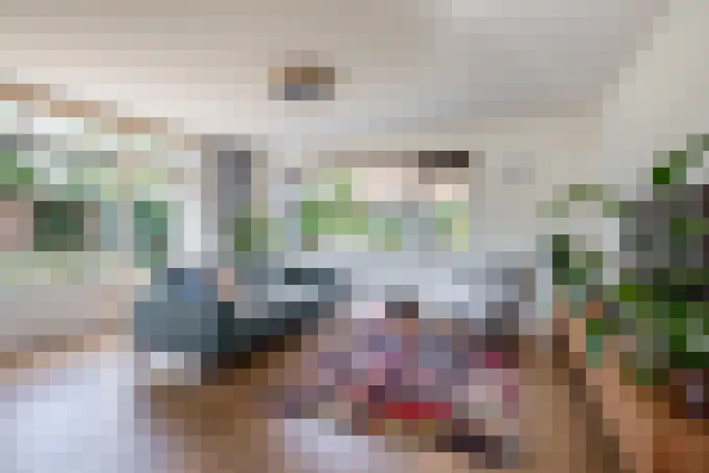 Maannezee 58 Dirksland thumbnail 8