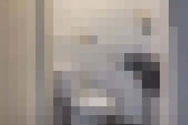 Maansteen 1 Zoetermeer thumbnail 11