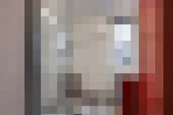 Maansteen 1 Zoetermeer thumbnail 14