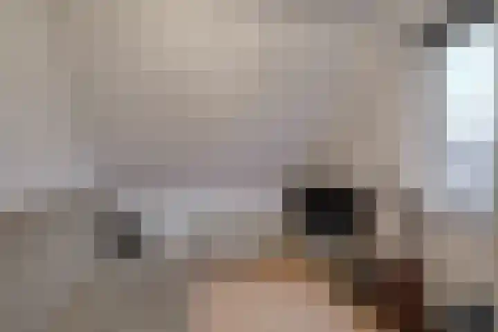 Maansteen 1 Zoetermeer thumbnail 17