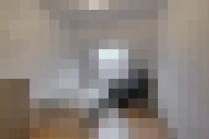 Maansteen 1 Zoetermeer thumbnail 18