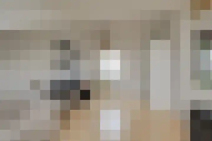 Maansteen 1 Zoetermeer thumbnail 19