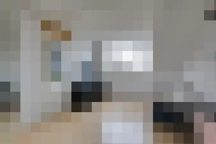 Maansteen 1 Zoetermeer thumbnail 20