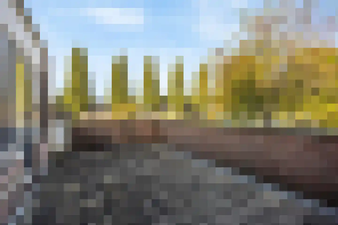 Maansteen 16 Zoetermeer thumbnail 29