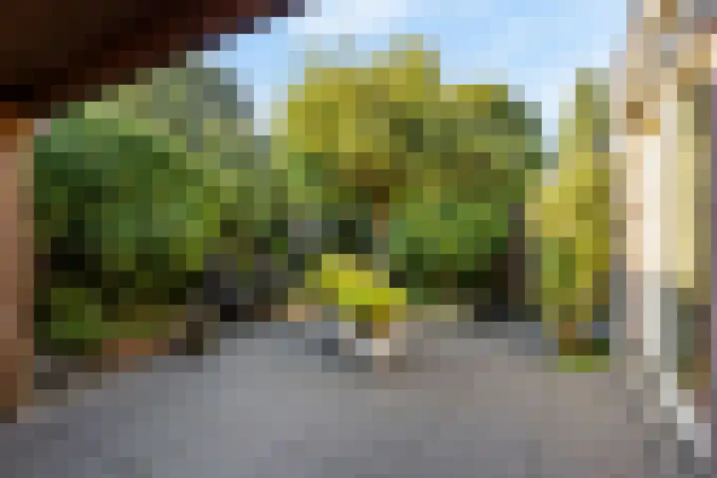 Maansteen 16 Zoetermeer thumbnail 41