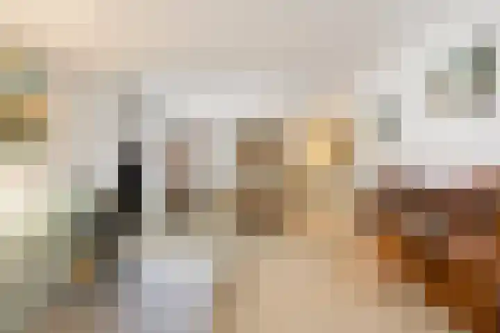 Maansteen 4 Eindhoven thumbnail 15