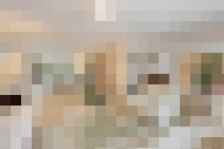Maansteen 4 Eindhoven thumbnail 16