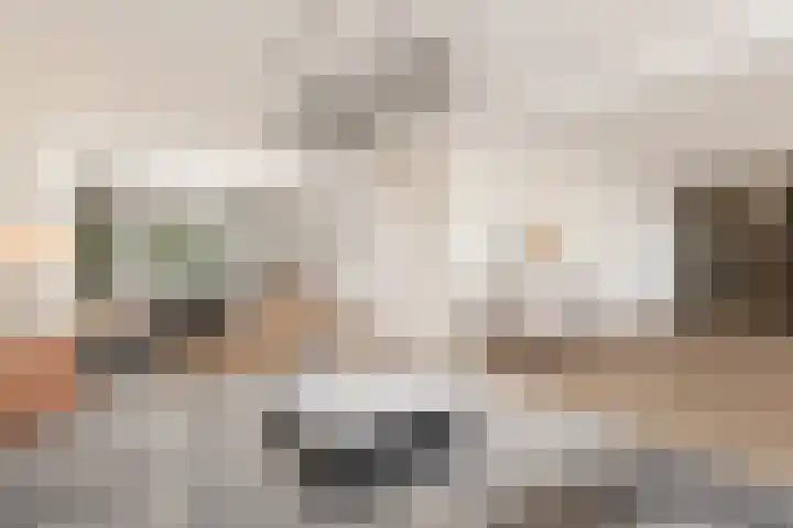 Maansteen 4 Eindhoven thumbnail 20