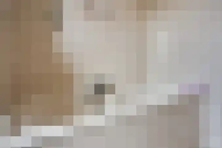 Maansteen 4 Eindhoven thumbnail 24