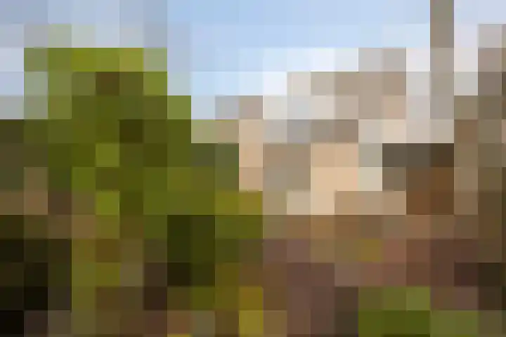 Maansteen 4 Eindhoven thumbnail 31