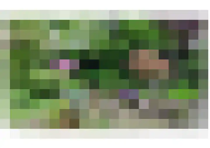 Maansteen 4 Eindhoven thumbnail 33
