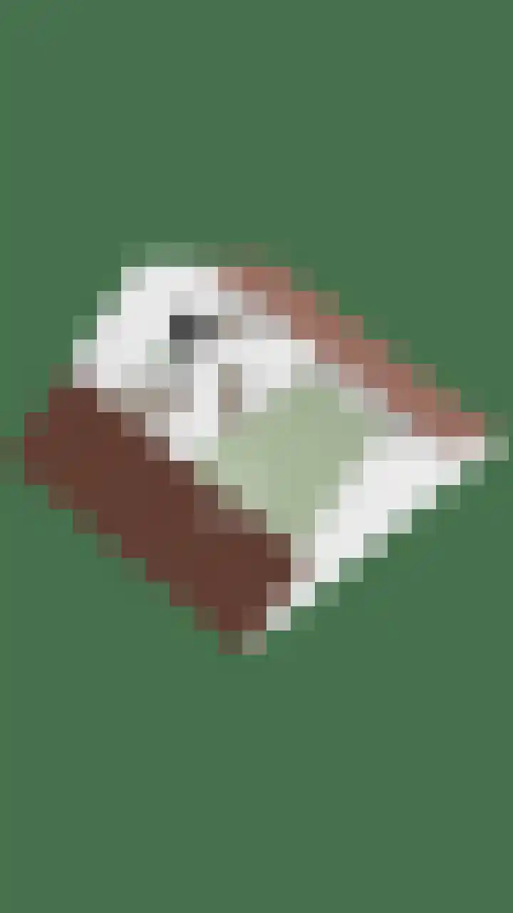 Maansteen 4 Eindhoven thumbnail 38