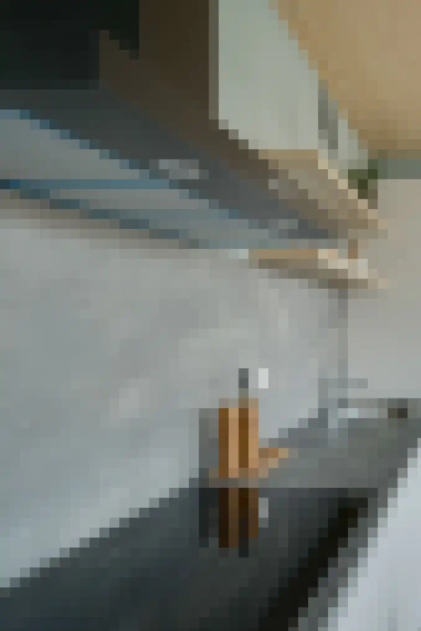 Maansteen 58 Heerhugowaard thumbnail 27