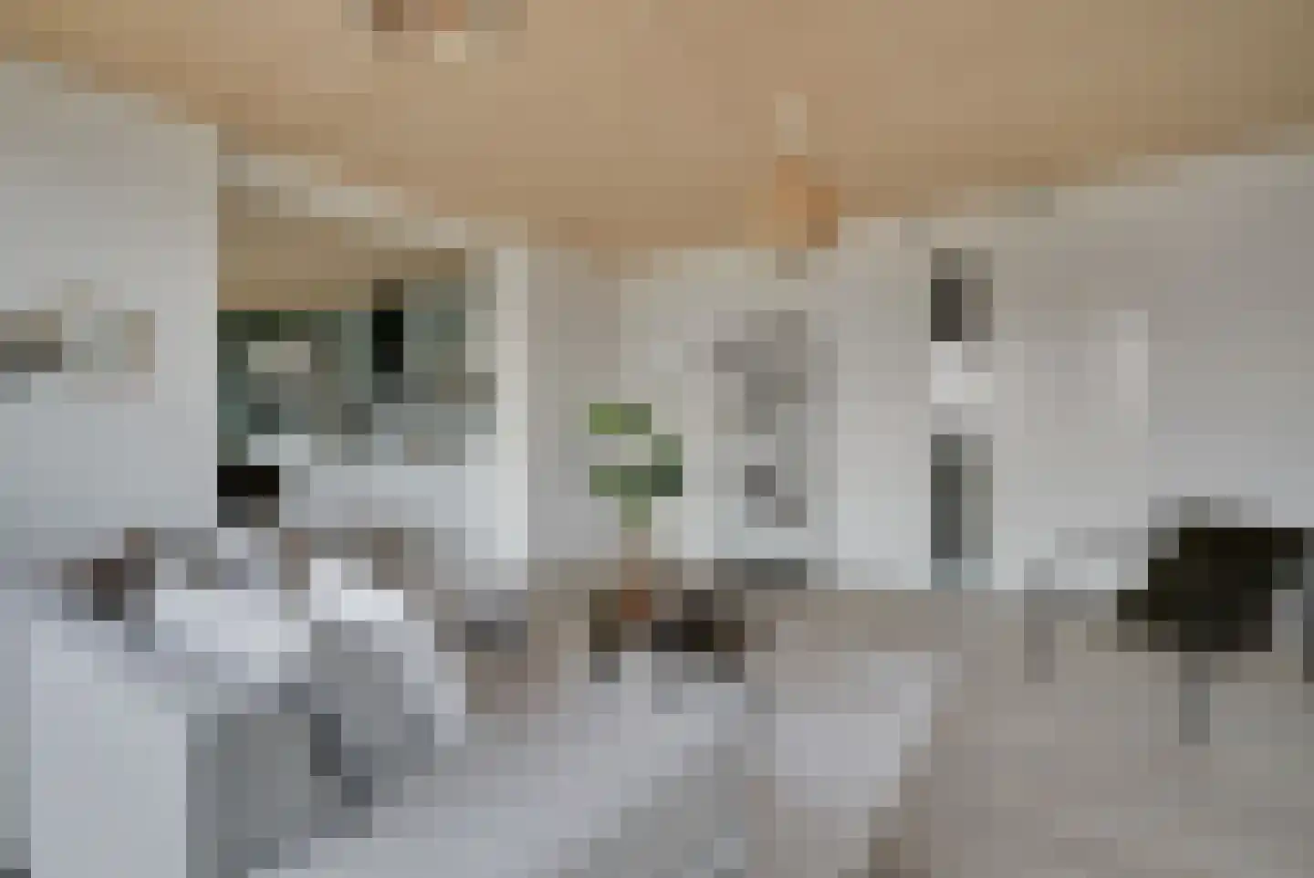 Maansteen 58 Heerhugowaard thumbnail 9