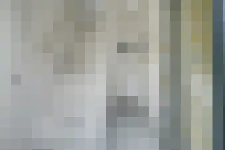 Maanstraat 1 Breda thumbnail 10