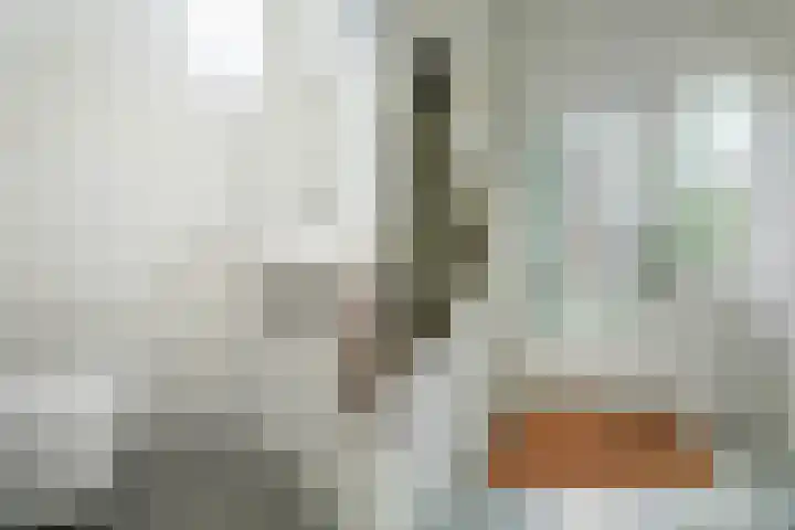Maanstraat 1 Breda thumbnail 14