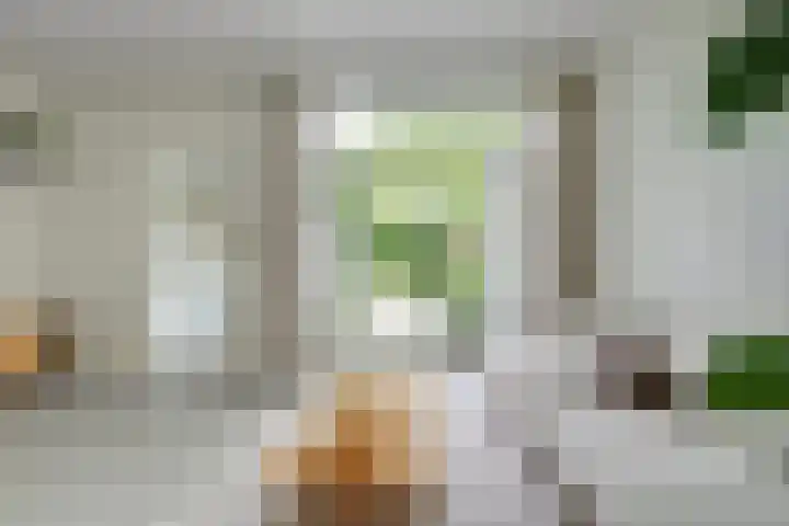 Maanstraat 1 Breda thumbnail 18