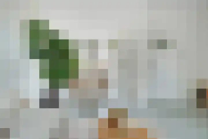 Maanstraat 1 Breda thumbnail 22