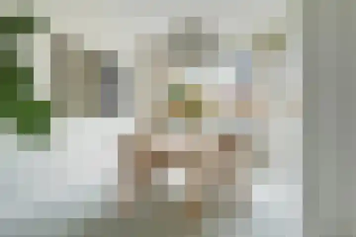 Maanstraat 1 Breda thumbnail 23