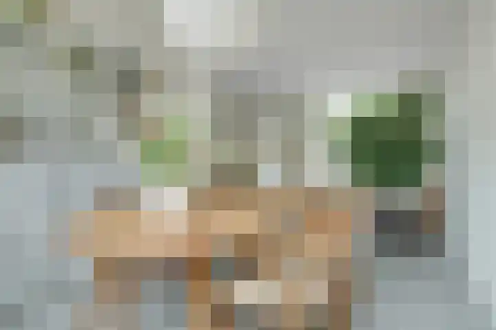 Maanstraat 1 Breda thumbnail 25