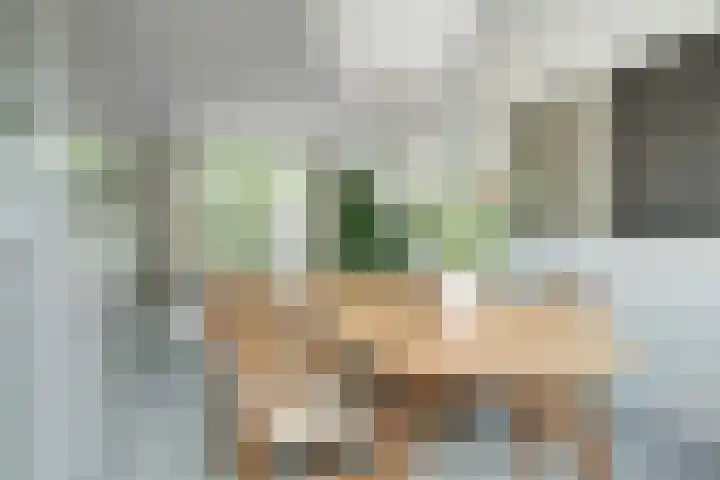 Maanstraat 1 Breda thumbnail 26
