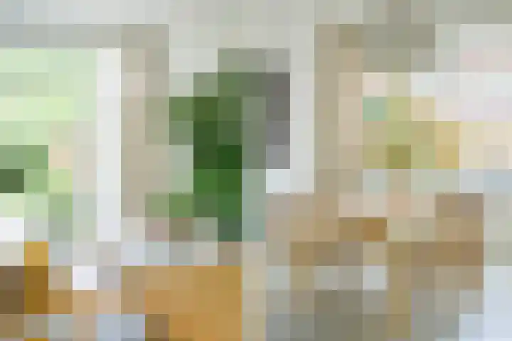 Maanstraat 1 Breda thumbnail 28