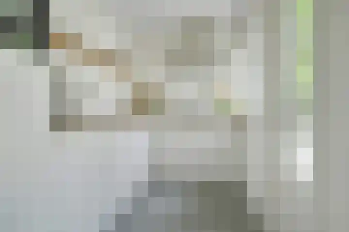 Maanstraat 1 Breda thumbnail 30
