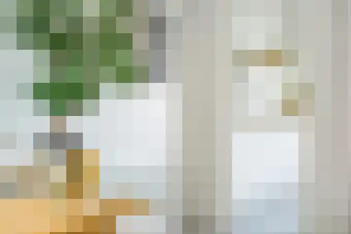 Maanstraat 1 Breda thumbnail 34