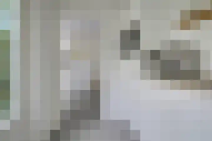 Maanstraat 1 Breda thumbnail 35