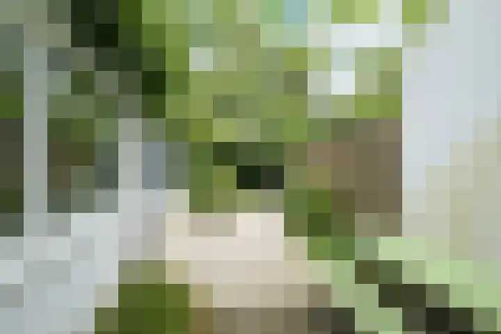Maanstraat 1 Breda thumbnail 37