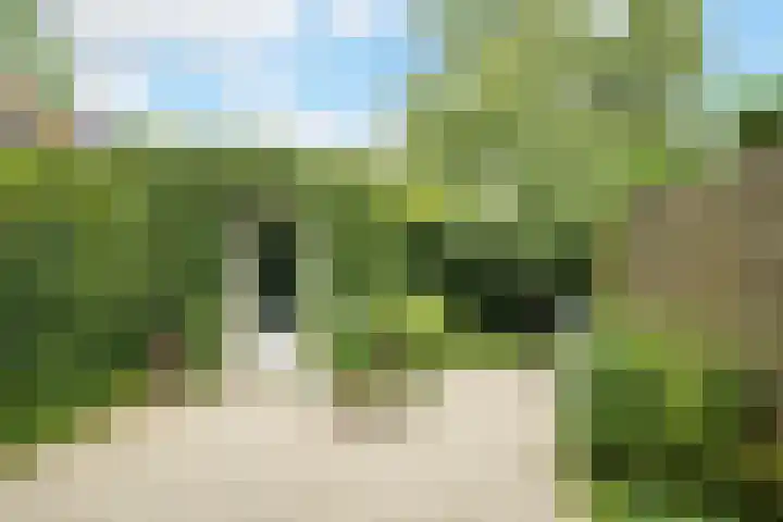 Maanstraat 1 Breda thumbnail 38