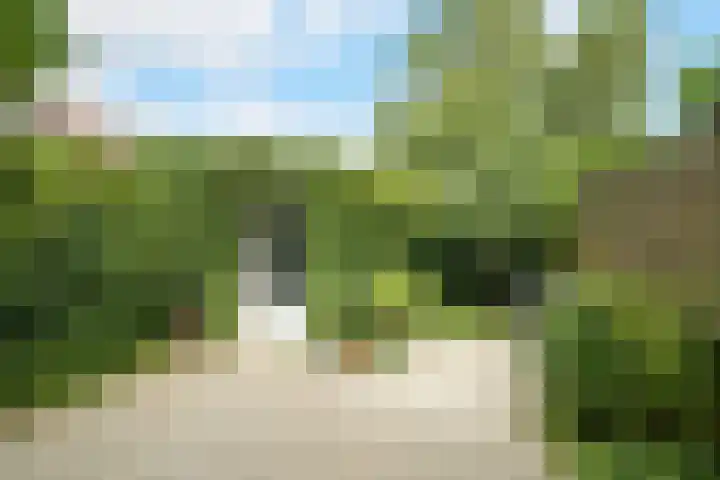 Maanstraat 1 Breda thumbnail 39