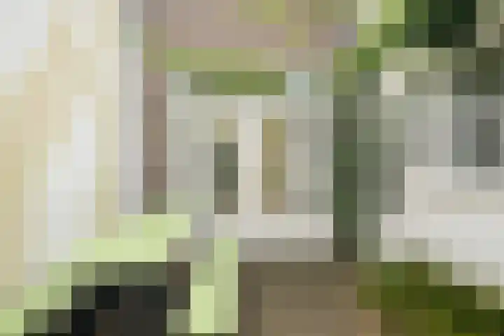 Maanstraat 1 Breda thumbnail 43