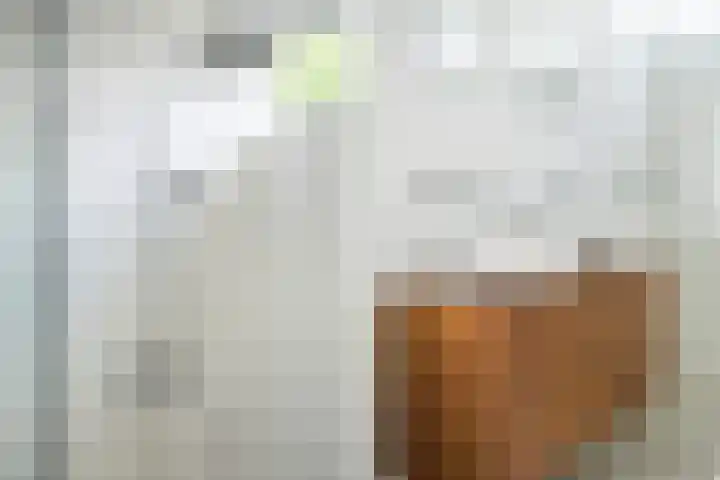 Maanstraat 1 Breda thumbnail 56