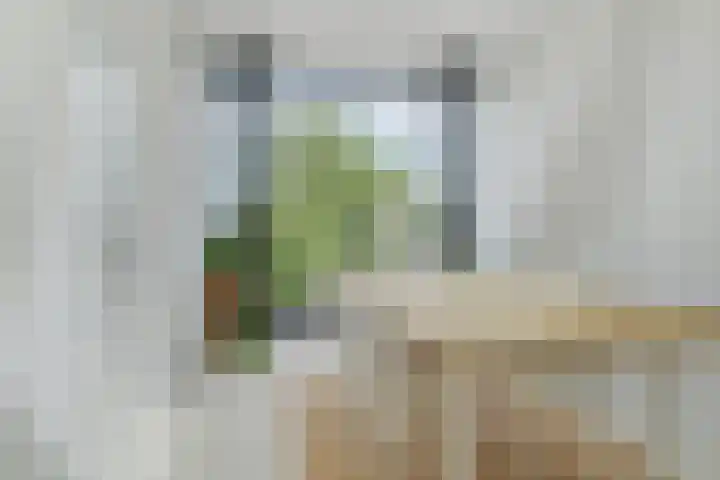 Maanstraat 1 Breda thumbnail 59