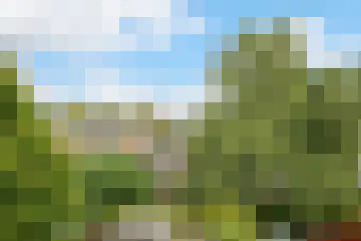 Maanstraat 1 Breda thumbnail 64