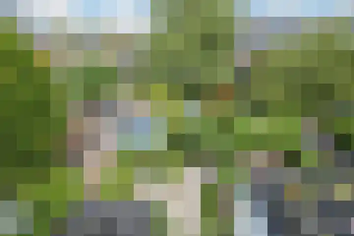 Maanstraat 1 Breda thumbnail 65