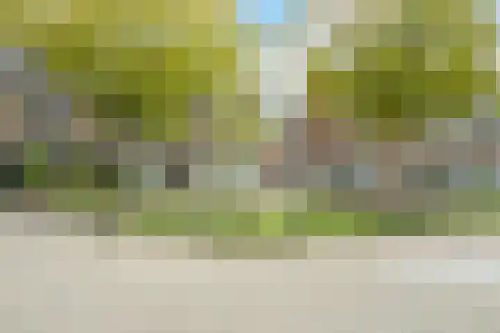 Maanstraat 1 Breda thumbnail 71