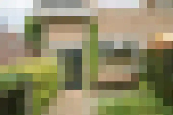 Maanstraat 1 Breda thumbnail 8